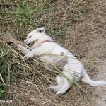 집지으면 솔로탈출 <b>ok</b>!