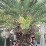 [사진有]퇴직금으로 부모님 여행보내드렸어요 ~~