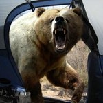 사진작가"<b>호시노</b>미치오"마지막유작...