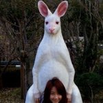 동물에 푹 빠진 허벅지 미녀 <b>선데이</b>!