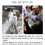 <b>여름철</b> 물물물