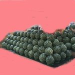 여름철 마트 <b>수박</b> 진상고객들..