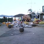 쓰레기 폐기장이 되어버린 해운대