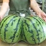 휴가보다 더 신나는 엽기사진 <b>모음</b>