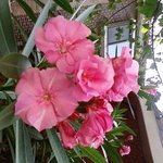 짐승,, “어휴, 짐승!” 여자들 멘트,, 여자들 삶의 이중심리...