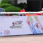 해운대에서 만난 너무 반가운 친구 <b>말리부</b>