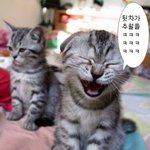 mc the <b>max</b>가 부릅니다