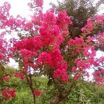 왜 남자하고 여자는 짝짝꿍 부딪혀야 소리가 나나욤 *^^*