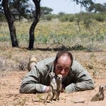 귀여운 미어캣의 모험! 재미있는 영화