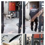 동물보호법은 존재하는겁니까??