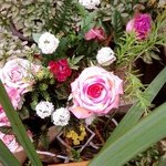 여자 x통땜에 하마터면 정신을 잃을뻔 했습니다,, ㅋ