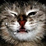 <b>소싯적</b> 껌 좀 씹었을 것 같은데