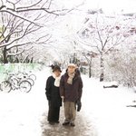 할머니, 할아버지의 엽기적인 행각(사진 有) ㅋ