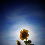 저도.. 미숙하지만 제사진을한번..^^;