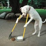 개를 데리고 공원을 <b>산책</b>했더니