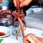 님들 제다리 어때<b>욤</b>??