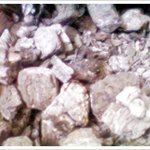 의성마늘양념 <b>모듬</b>숯불구이....