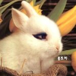 <b>2ne1</b> 박봄+토끼=봄토끼!!! 이것은 진리