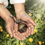 감동의 쓰나미! 펑펑 울었던 영화...