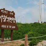 여름 지나가기 전에 태백여행 어떠세요?