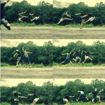 <b>놀러</b>가서 하면 재밌는 사진