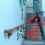 [사진有] 강남에 한 극장에서 <b>스키</b>탄 여자