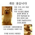 <b>두부</b>를 찾아주세요 제발도와주세요