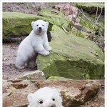 외로우신분들!!! <b>주목</b>주목!!!