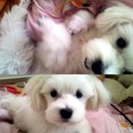 톡이 여러분.. 위로해주세요 ㅠㅠㅠ