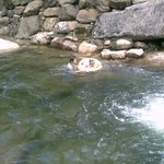 계곡에서 여학생을 구조했습니다.-사진有