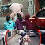 [사진有] <b>인형탈</b>쓰고 하루종일 돌아다녔어요