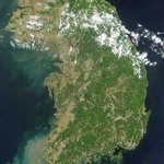 해외에서 보여지는 대한민국, 그리고 바라는 점..