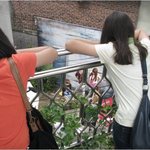 <b>2ne1</b> 직촬 산다라박 얼굴크기 대박