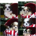 이세상 어느 누구보다 행복하게 살겠습니다.