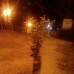 백수인 제가 <b>백조</b>인 애인에게...