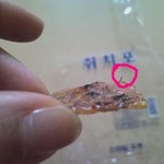 부산 글로리아 콘도에서...<b>쥐포</b>에서 철수세미가 이렇게 나오다니....