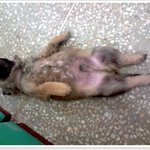 우리 '<b>철수</b>'를 소개합니다..
