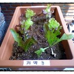 * <b>옆집</b> 초딩 학교 과제물 *