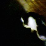 길냥이들 밥주다가 동네 아줌마랑 한판한 사연.