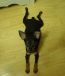 <b>x</b>냄새땜에 망친 면접ㅠ (사진有)