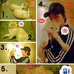 고양이에게 <b>사정</b>하는 김준