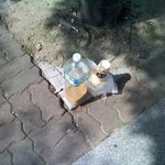 햇볕때문에 힘들었지만, 감사했던 할머니. (사진有)