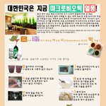 대한민국은 지금 마크로비오틱 <b>열풍</b>
