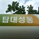 사진有 푸르고친절한탑<b>대성</b>이랑 몇십분 있었어요!!!