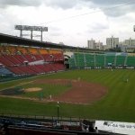 야구장에서<b>파울</b>볼맞고멍들었어요ㅠ사진有