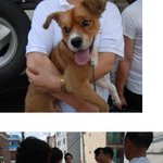 동물학대법 강화합시다! <b>서명</b>해주세요..