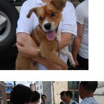 동물학대법 강화합시다! <b>서명</b>해주세요