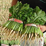 (사진有)내가 못 산 열무를 아저씨께서-