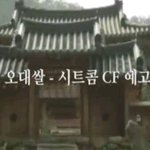 빠돌이의 레이더망에 걸린 그녀