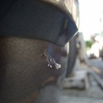 [사진有] 제 차에 우담<b>바라</b>가 폈어요~~